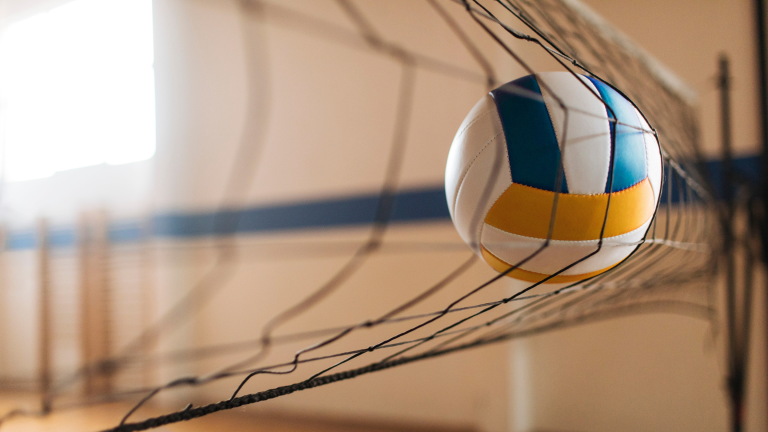 Voleybol